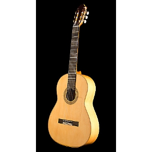 Profesor Flamenca